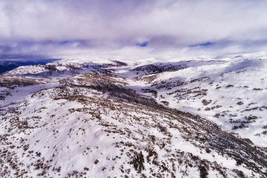 Perisher 