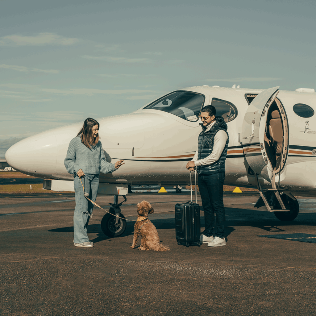 Pet with couple on private jet